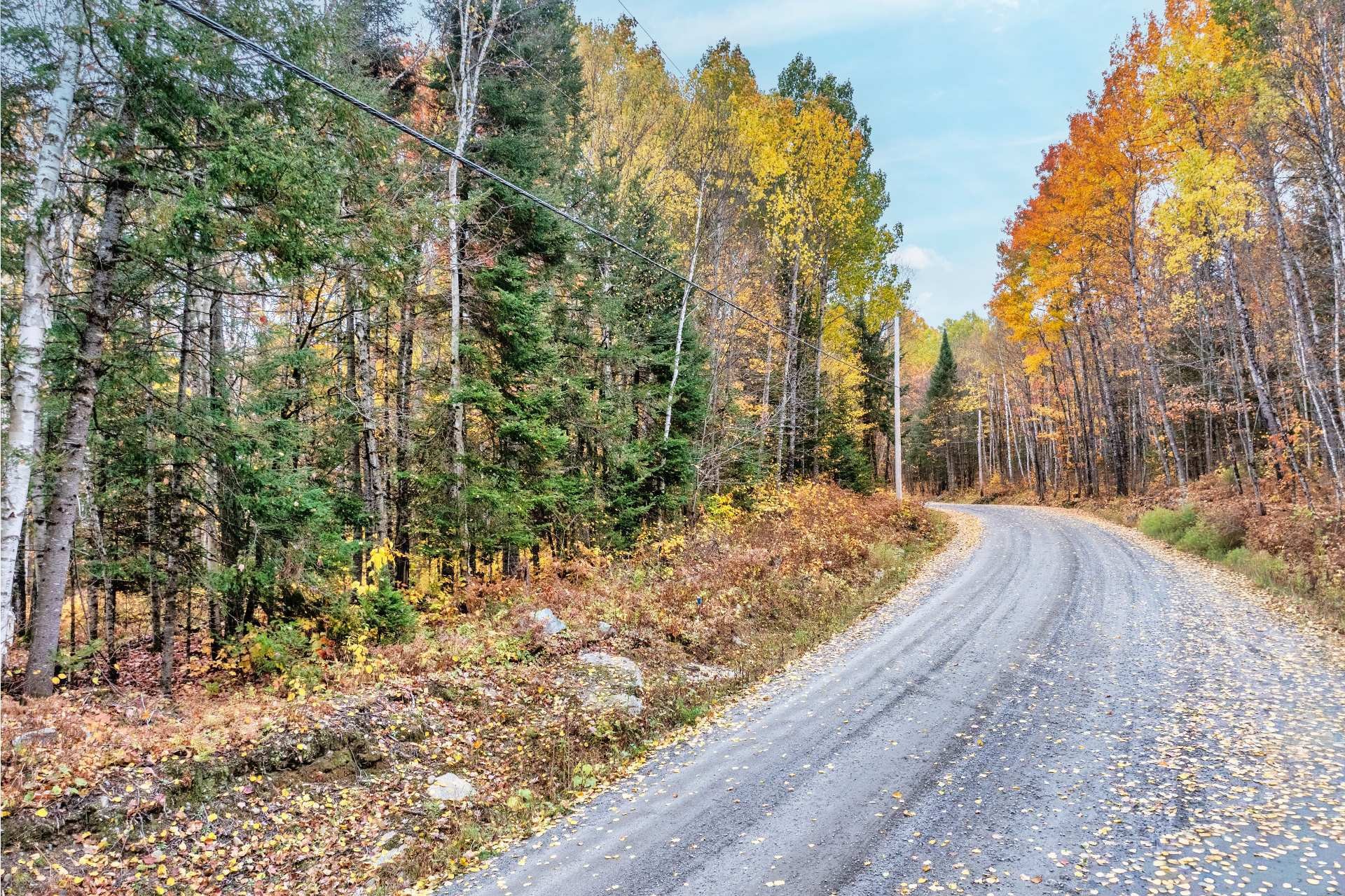 Terre/Terrain - Mtée Lortie, Rivière-Rouge, QC