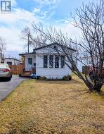 17 Viscount Crescent Gander, NL A1V 1Y7