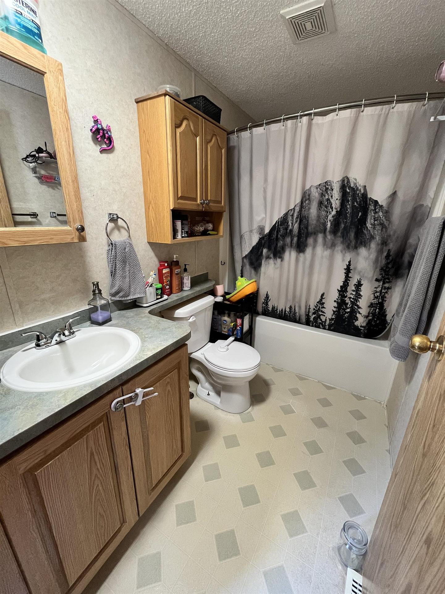 7 Short Forest Drive, Ear Falls, ON - Indoor Photo Showing Bathroom