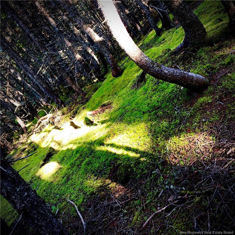 Lot Chemin Malbay, Miscou, NB