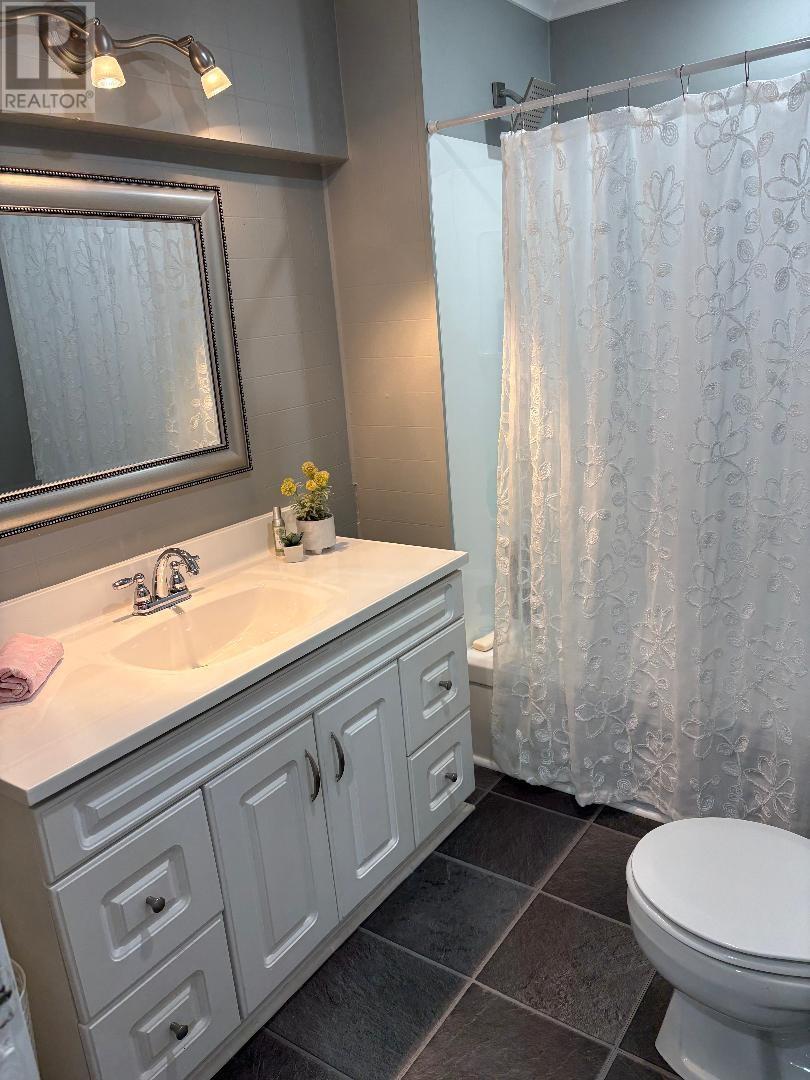 180 Main Street, Triton, NL - Indoor Photo Showing Bathroom