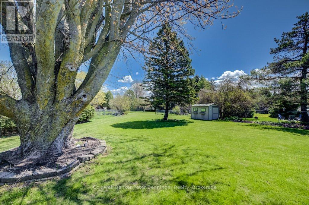 Backyard - 33 Tower Road, Arran-Elderslie, ON - Outdoor