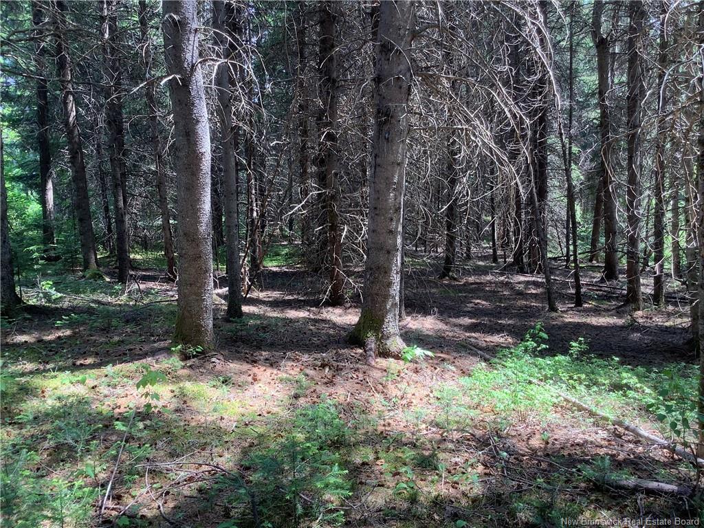 35 Ch Rang 7 Et 8, Kedgwick, NB