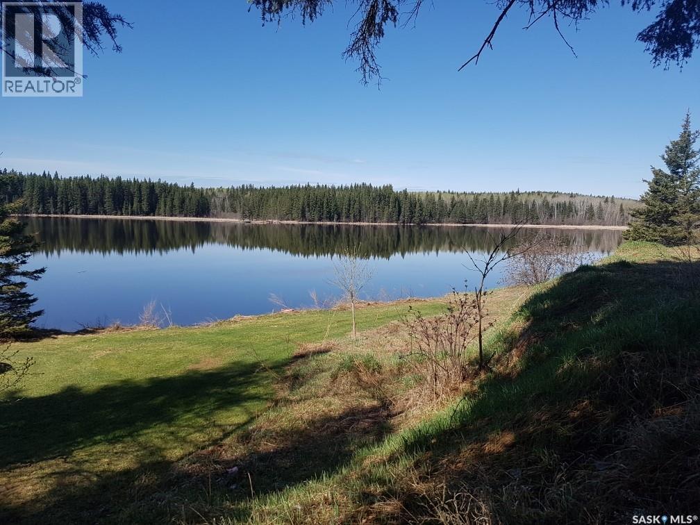 342 Johnson Crescent, Big River, SK