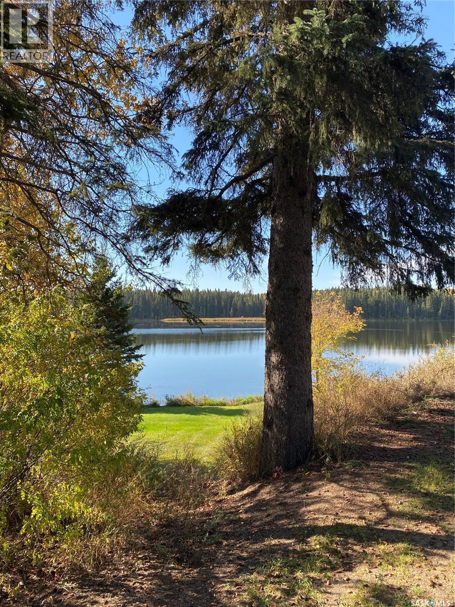 342 Johnson Crescent, Big River, SK