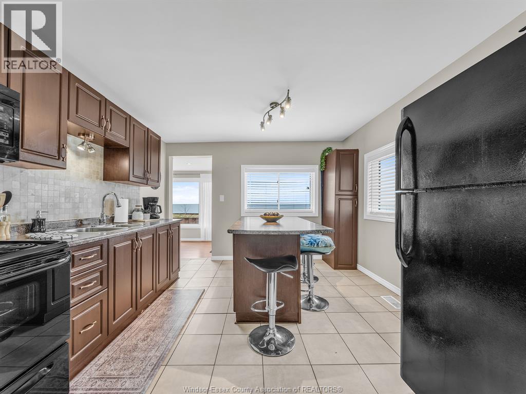 162 Robson Rd, Leamington, ON - Indoor Photo Showing Kitchen