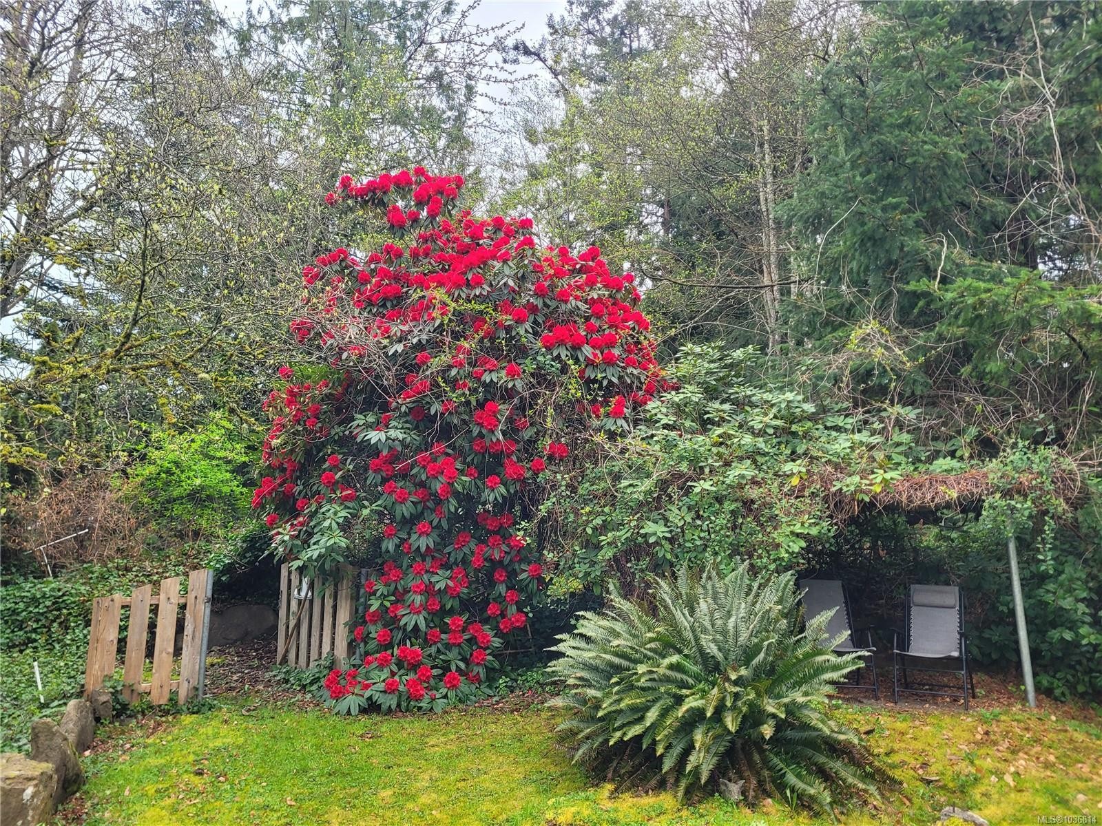 369 Baker Rd, Ladysmith, BC