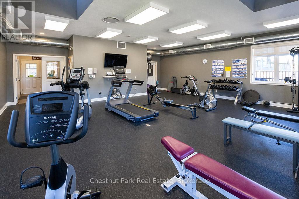 Condo Amenities - 54 Conservation Way, Collingwood, ON - Indoor Photo Showing Gym Room