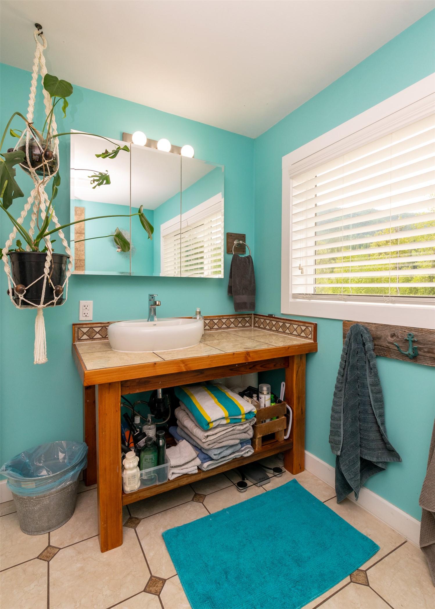2904 Enderby Mabel Lake Road, Enderby, BC - Indoor Photo Showing Bathroom
