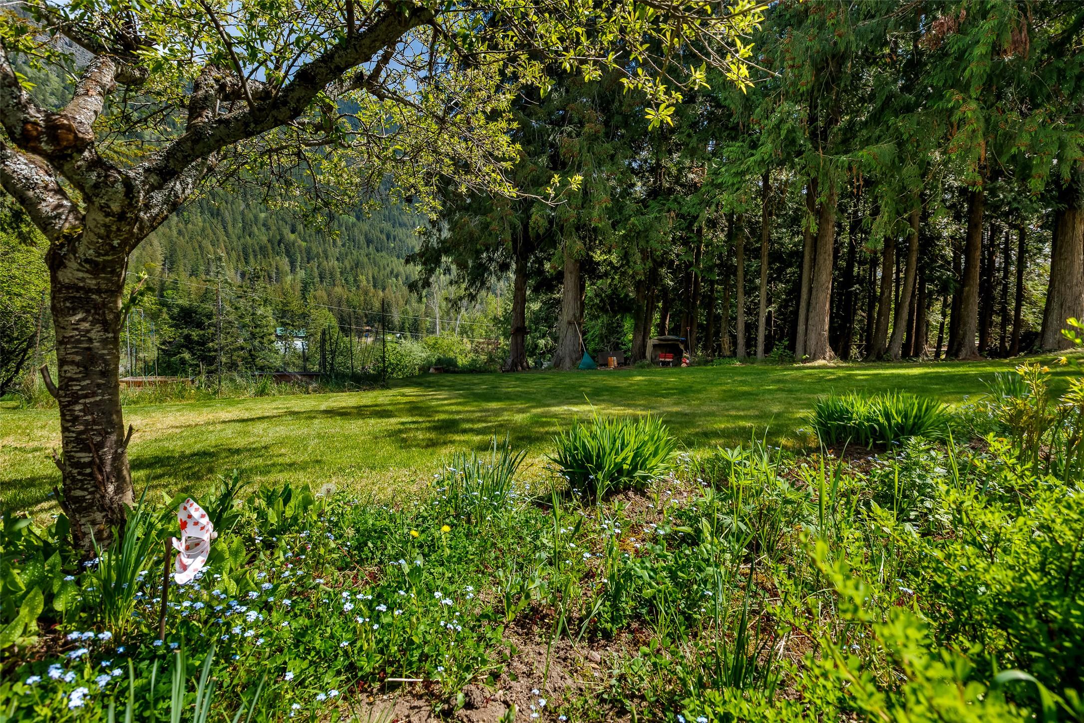 3988 Samuelson Road, Canyon, BC - Outdoor