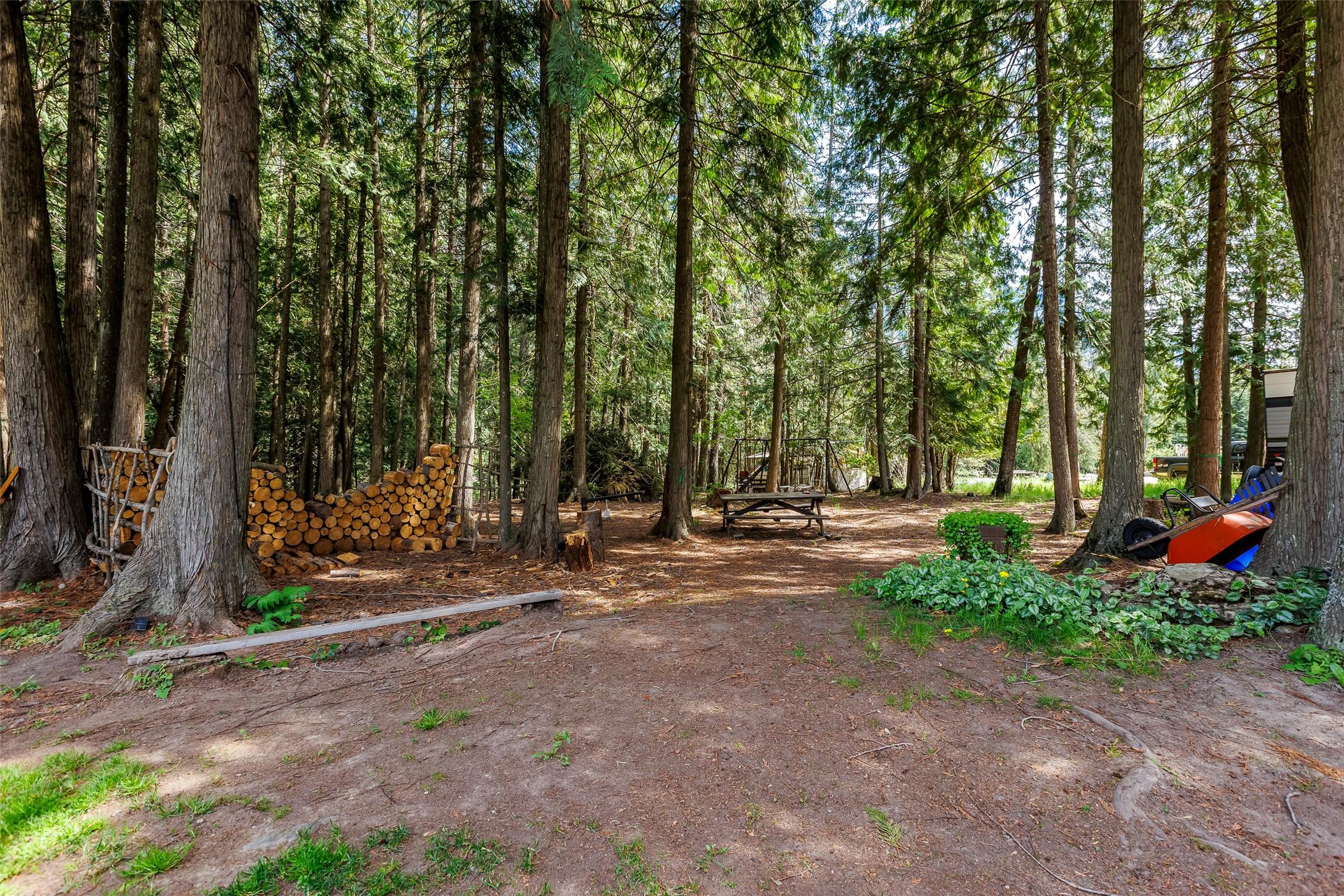 3988 Samuelson Road, Canyon, BC - Outdoor With View