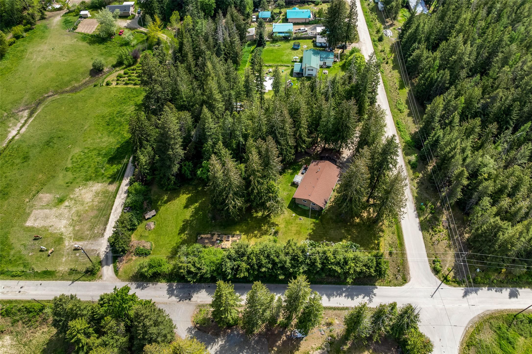 3988 Samuelson Road, Canyon, BC - Outdoor With View