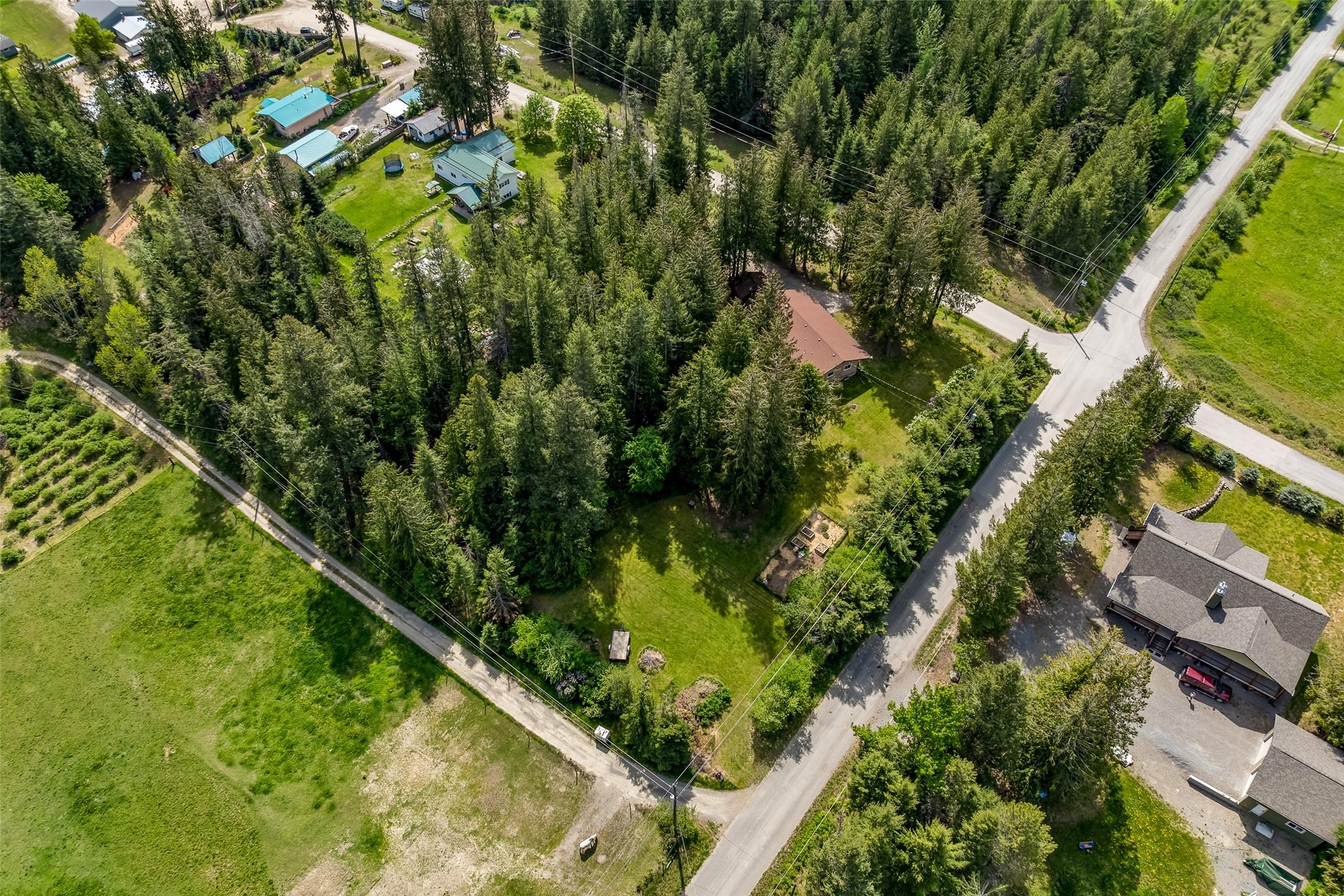 3988 Samuelson Road, Canyon, BC - Outdoor With View