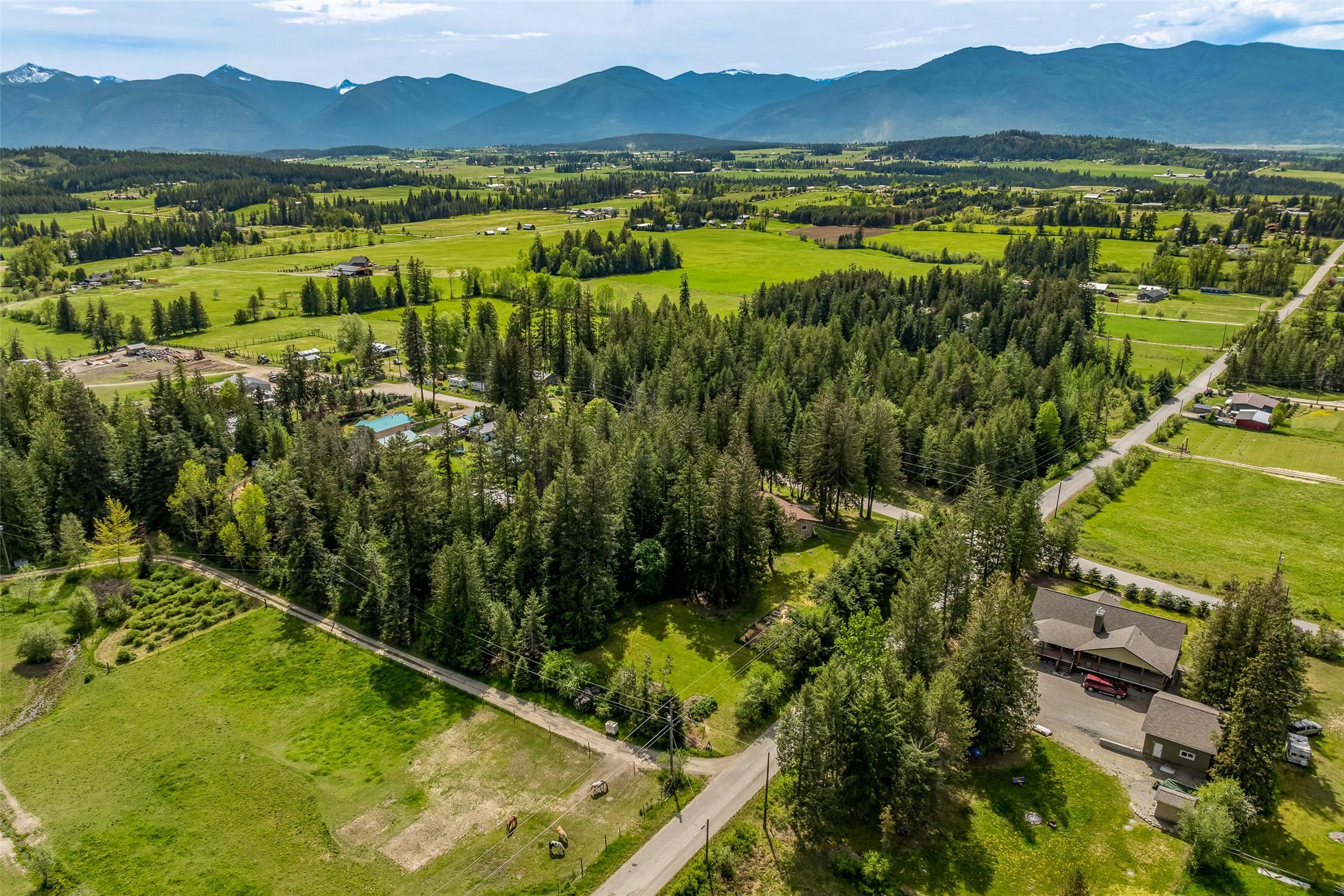 3988 Samuelson Road, Canyon, BC - Outdoor With View