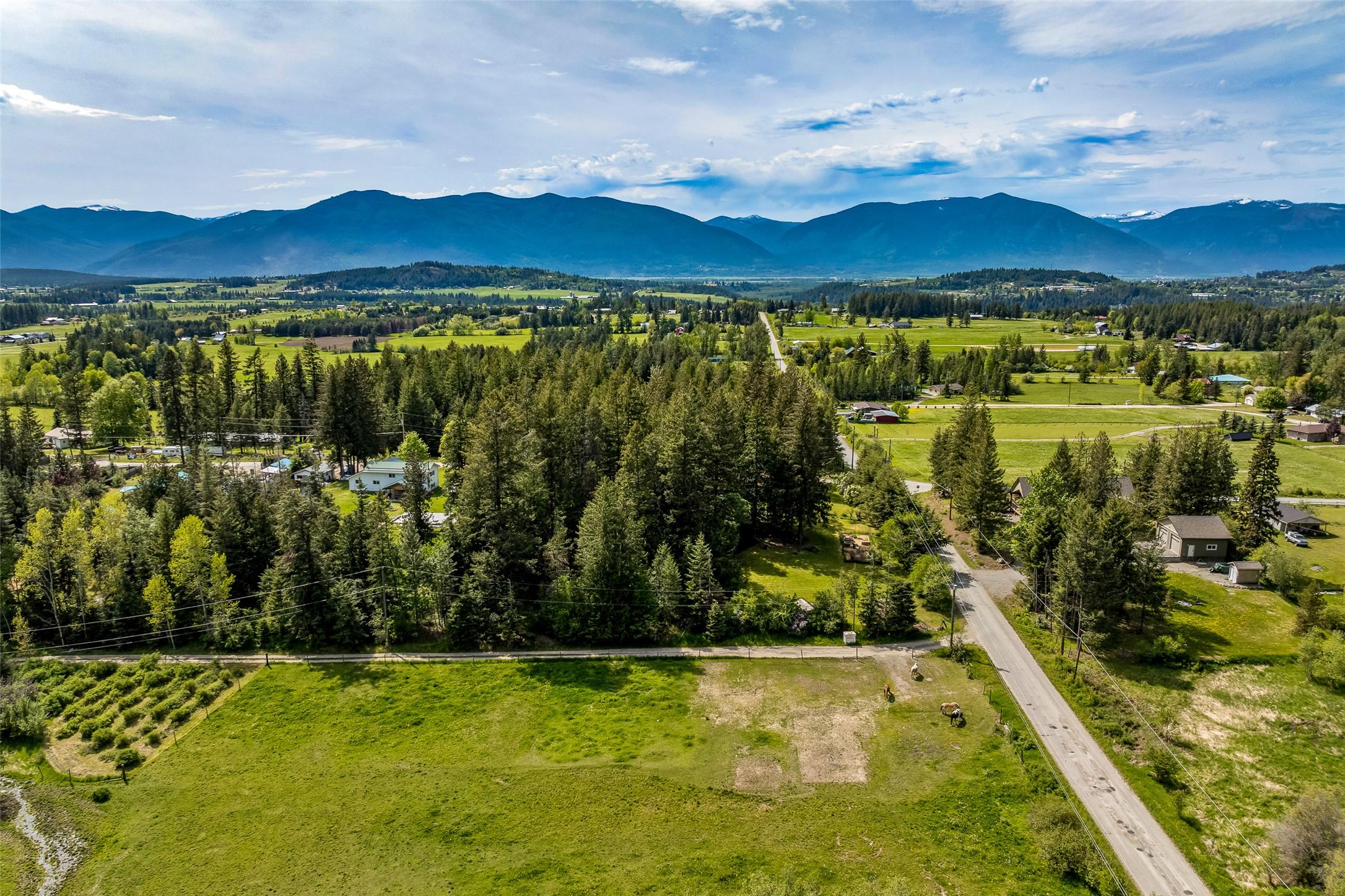 3988 Samuelson Road, Canyon, BC - Outdoor With View