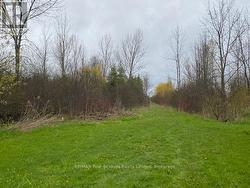 1 MARY STREET Meaford, ON N4L 1J3