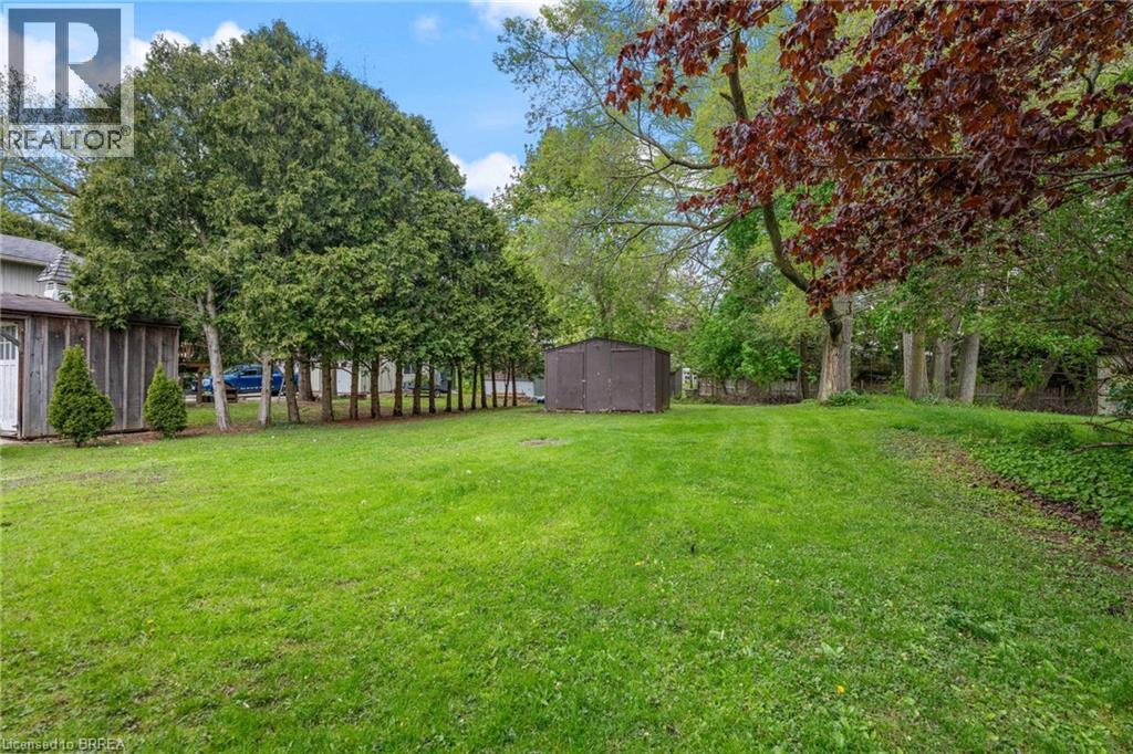 Expansive lawn area featuring mature trees, a row of arborvitae, and a storage shed - 9 Cherry Street, Simcoe, ON - Outdoor