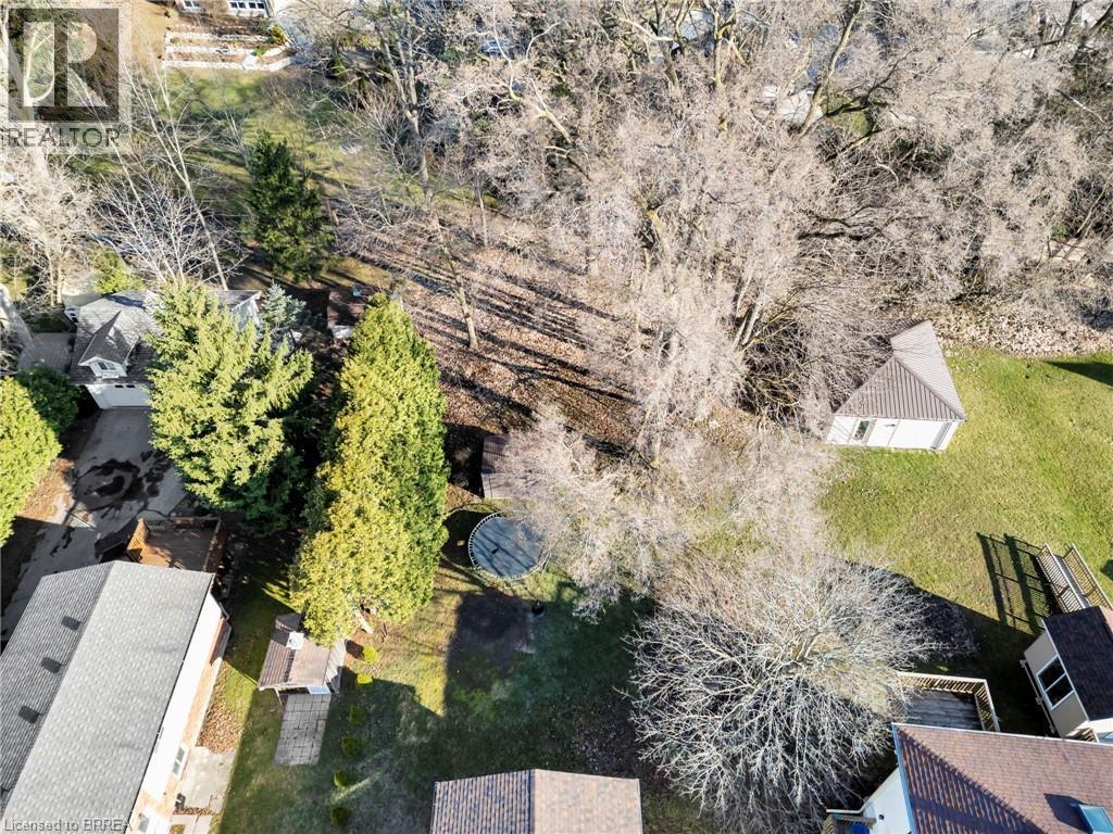 Expansive yard featuring mature trees, evergreen landscaping, a storage shed with a shingle roof, and varied terrain - 9 Cherry Street, Simcoe, ON - Outdoor