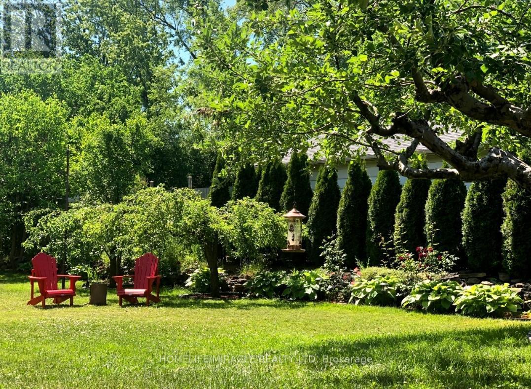 Last Year Pictures - 32 Durham Road, Hamilton, ON - Outdoor