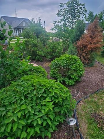 11 Spillway Cove, St Malo, MB