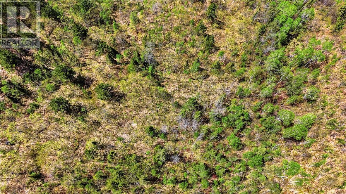 Lot 1 Makada Road, Lively, ON