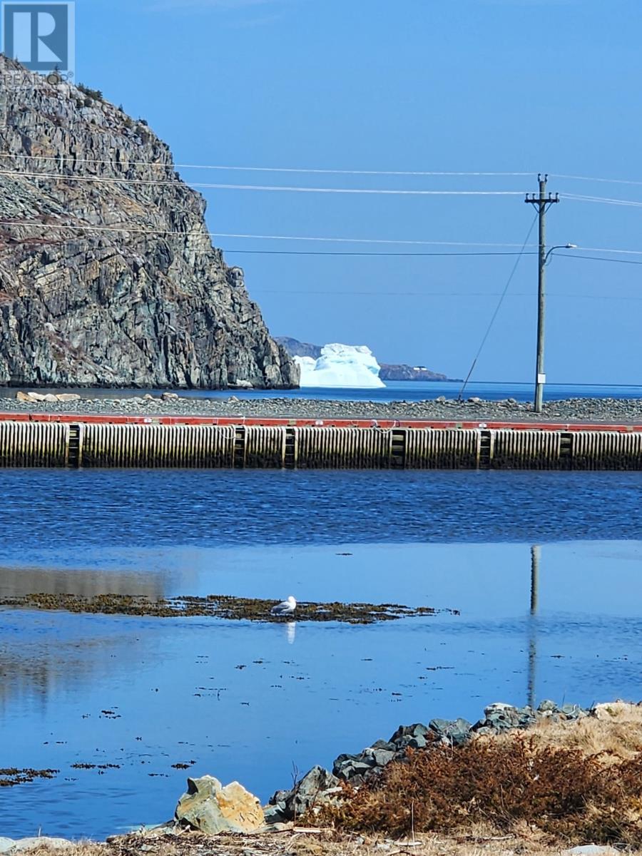 9 Quay Road, Cupids, NL - Outdoor With Body Of Water With View