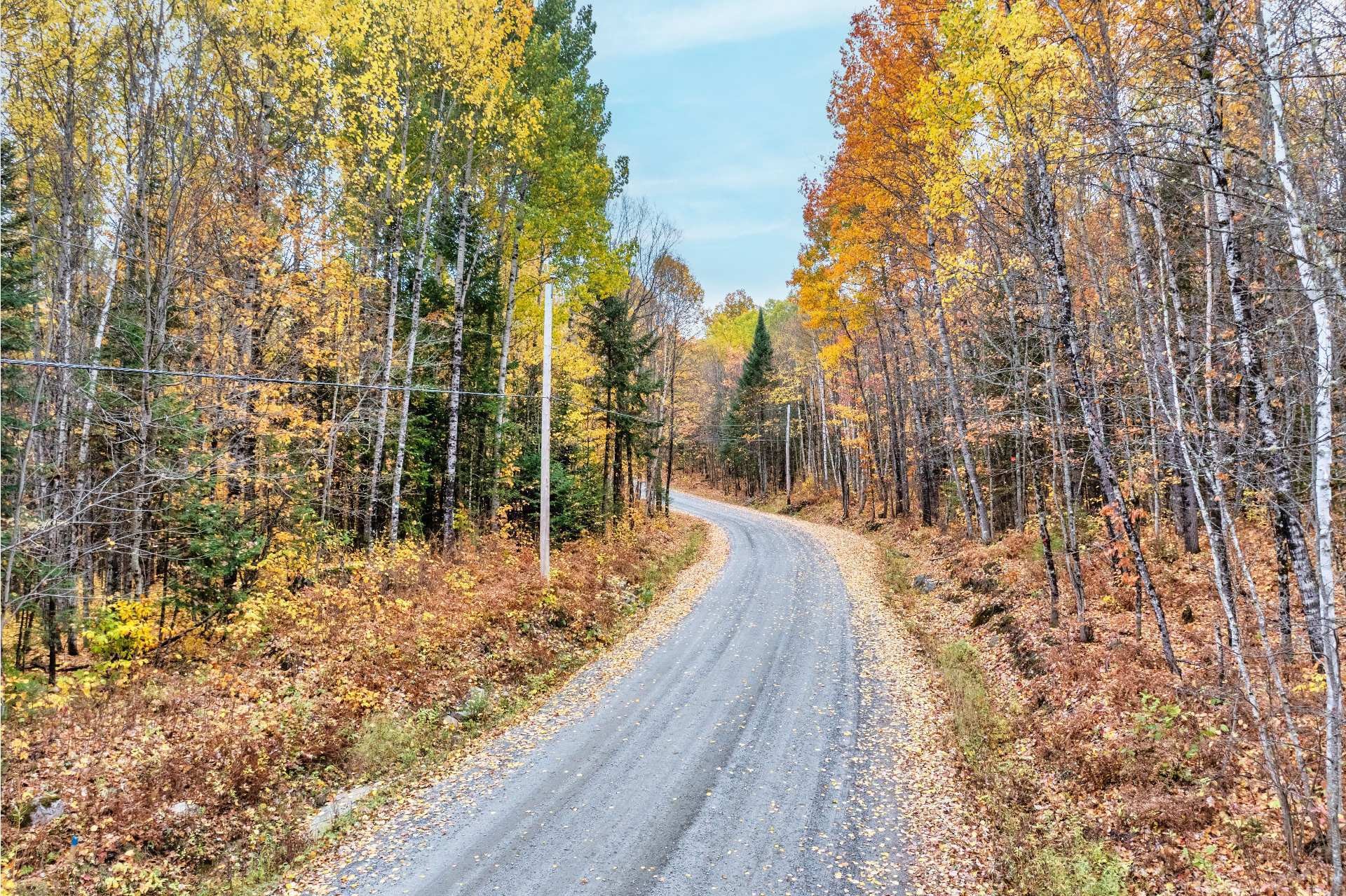 Terre/Terrain - Mtée Lortie, Rivière-Rouge, QC