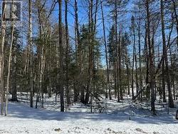 9 - PART 8 OF PART OF LOT 18 CONCESSION Lake Of Bays (Mclean), ON P0B 1A0