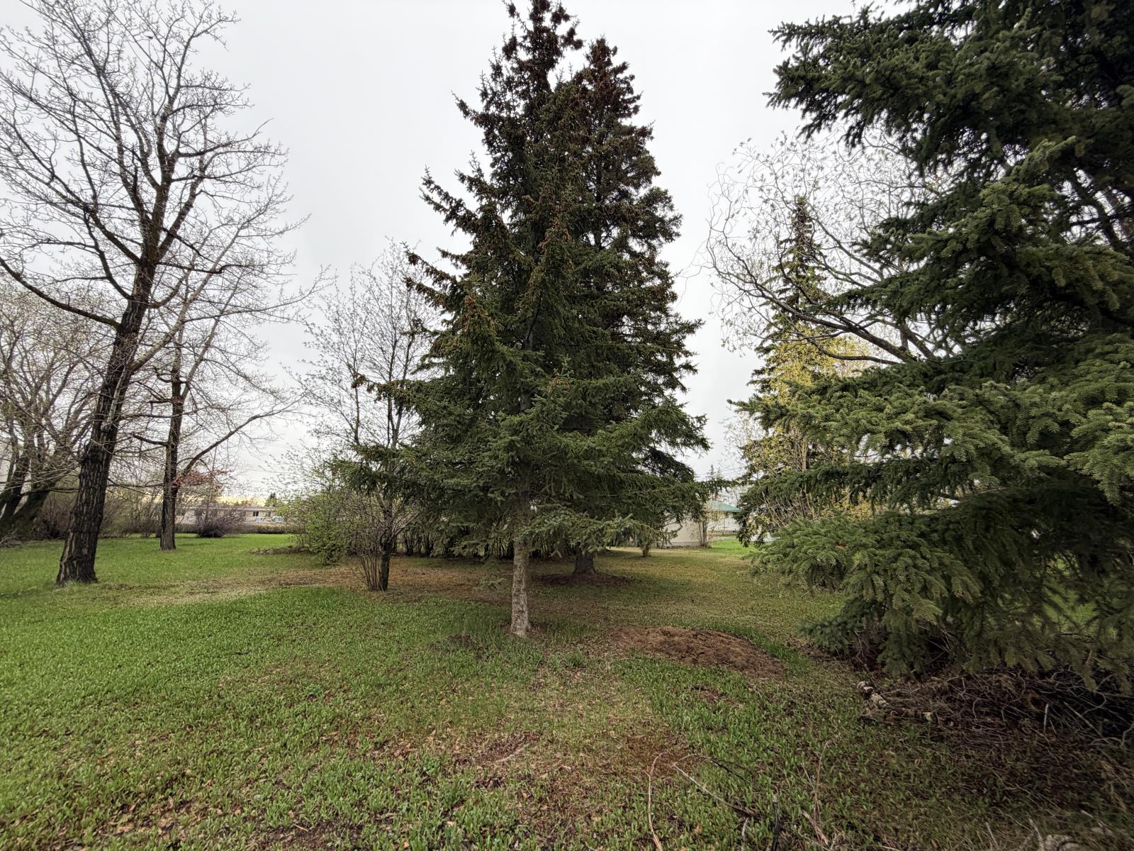 Rural Westlock County, Alberta