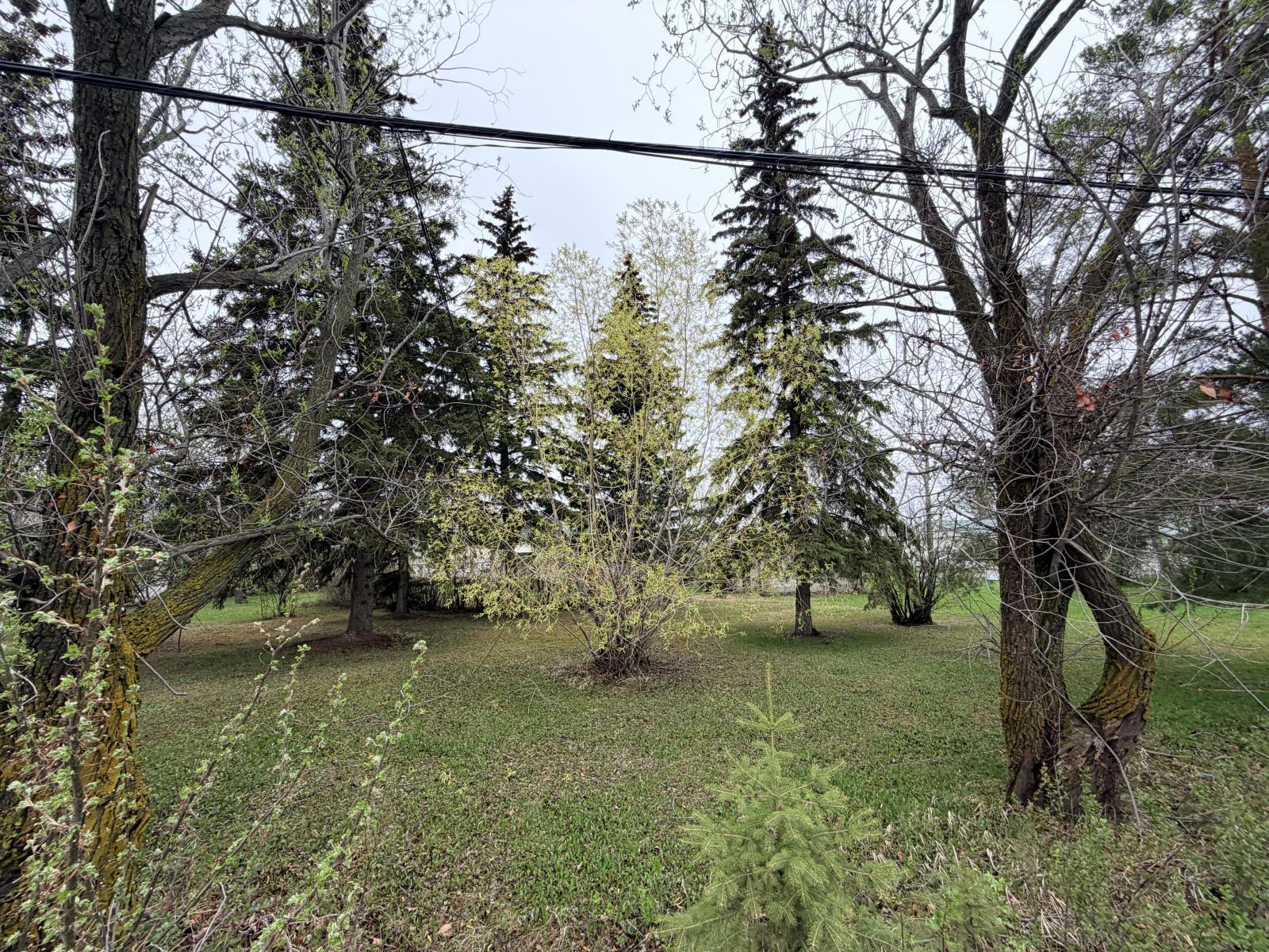 Rural Westlock County, Alberta