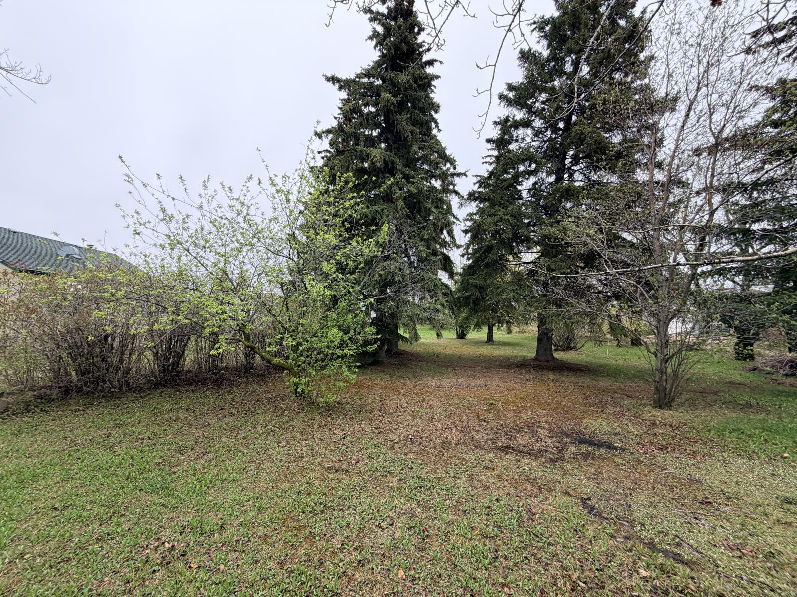 Rural Westlock County, Alberta