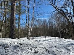 9 - PART 6 OF PART OF LOT 18 CONCESSION Lake Of Bays (Mclean), ON P0B 1A0
