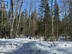 9 - PART 7 OF PART OF LOT 18 CONCESSION Lake Of Bays (Mclean), ON P0B 1A0