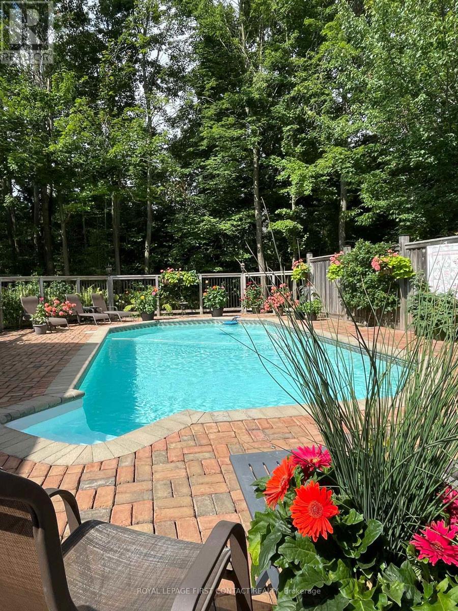 26 Paddy Dunn'S Circle, Springwater, ON - Outdoor With In Ground Pool