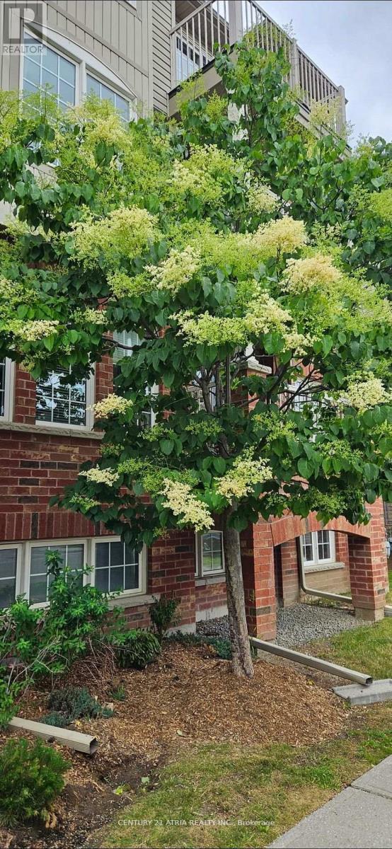 5 - 129 Isaac Devins Boulevard, Toronto, ON - Outdoor