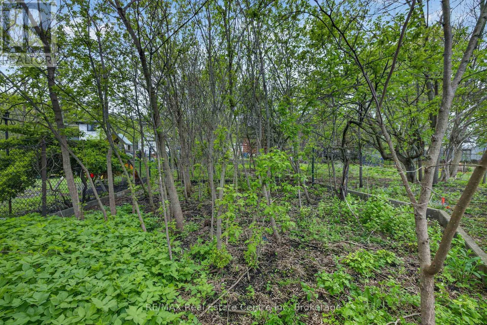 121 Elizabeth Street, Guelph (St. Patrick'S Ward), ON