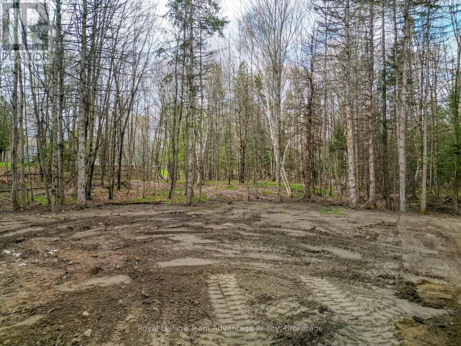 Cleared out Flat Space - 0 Centre Road W, Mckellar, ON