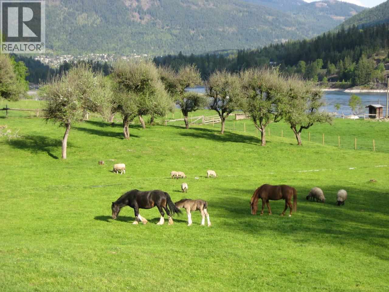 6302 Marsden Road, Nelson, BC - Outdoor With View