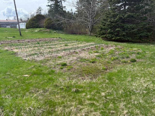 207 Bennetts Bay Road, Bennett Bay, NS