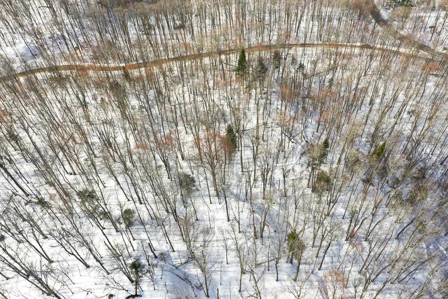Lot - Ch. Du Lac-Travers, Mont-Tremblant, QC