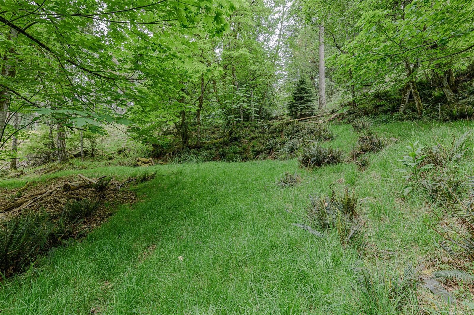 161 Holmes Rd, Salt Spring, BC
