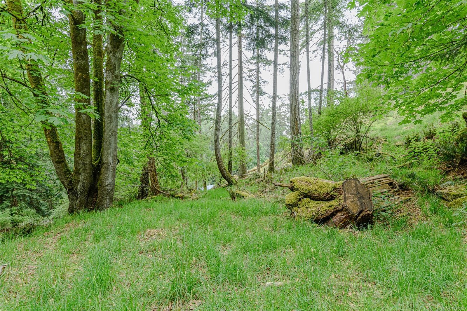 161 Holmes Rd, Salt Spring, BC