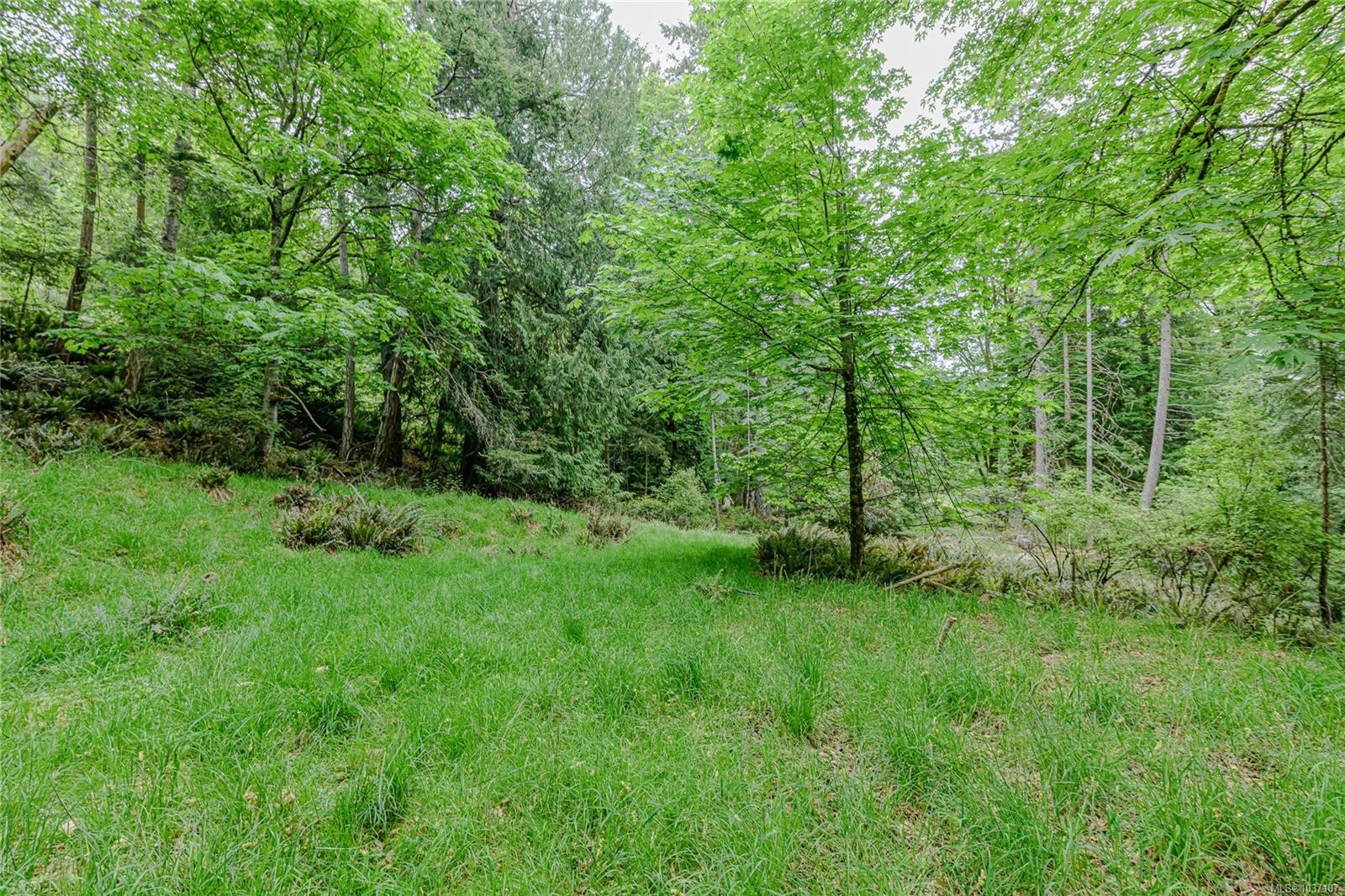 161 Holmes Rd, Salt Spring, BC