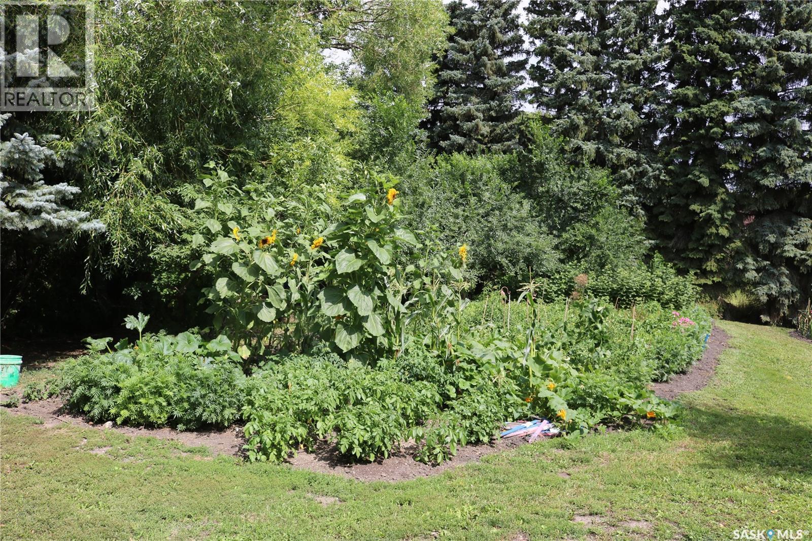 211 Pipestone Avenue, Wawota, SK - Outdoor