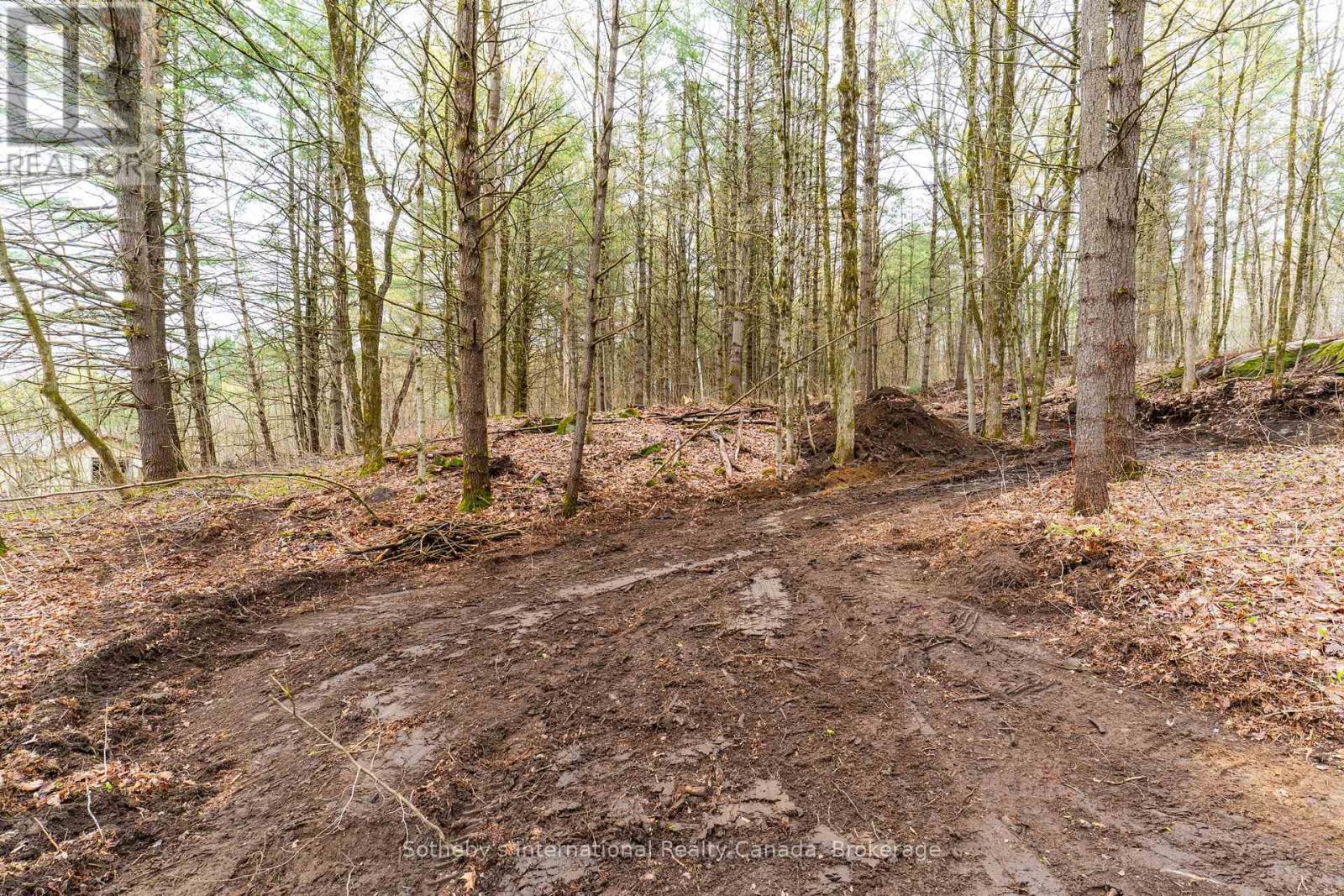0 White'S Road, Muskoka Lakes (Medora), ON