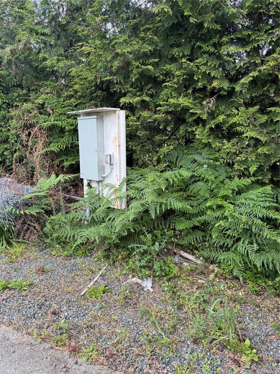 3205 Douglas St, Chemainus, BC