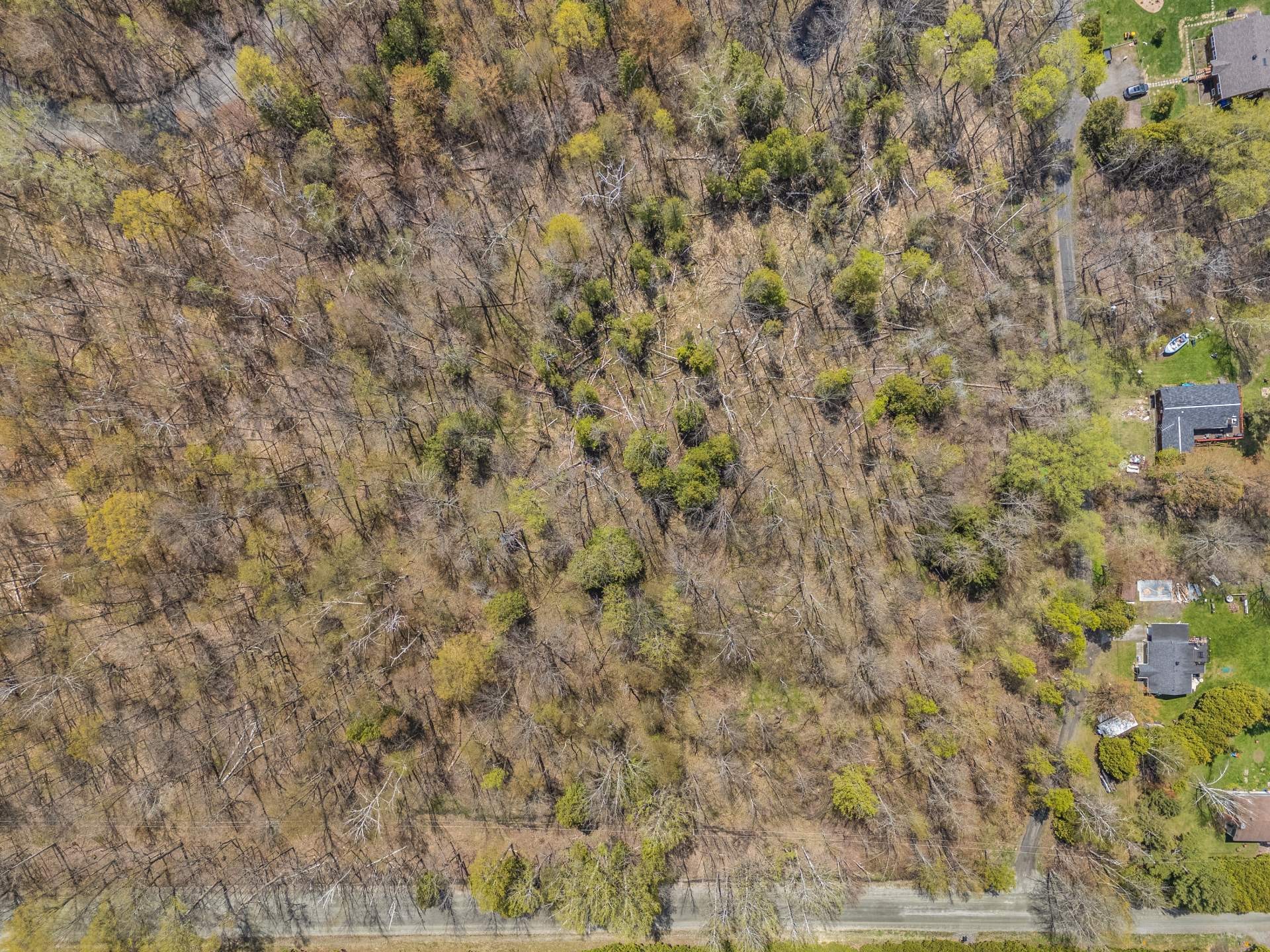 Photo aérienne - Ch. De Cedarville, Ogden, QC