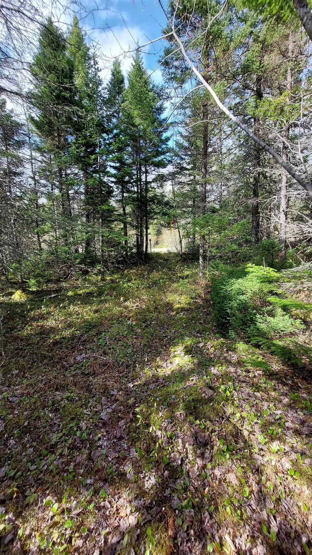 Lot 8 Evanston Rd, Evanston, NS