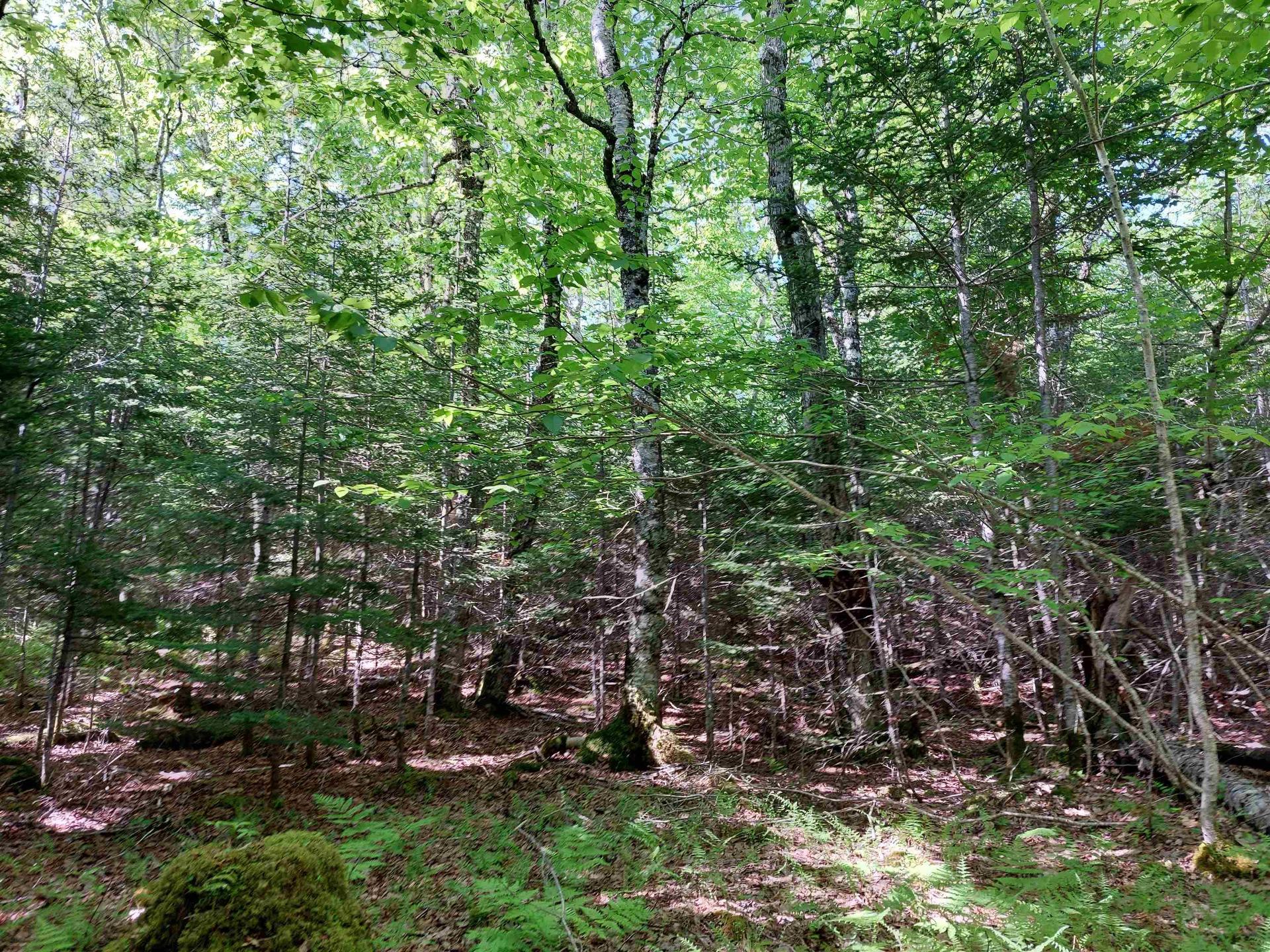 Lot 8 Evanston Rd, Evanston, NS