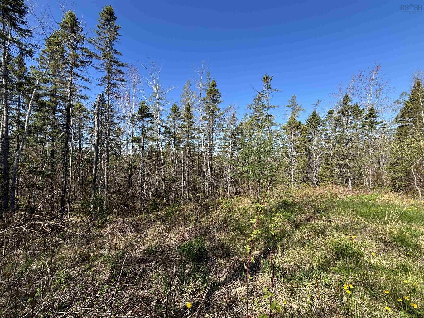 91 Timber Drive, Enfield, NS